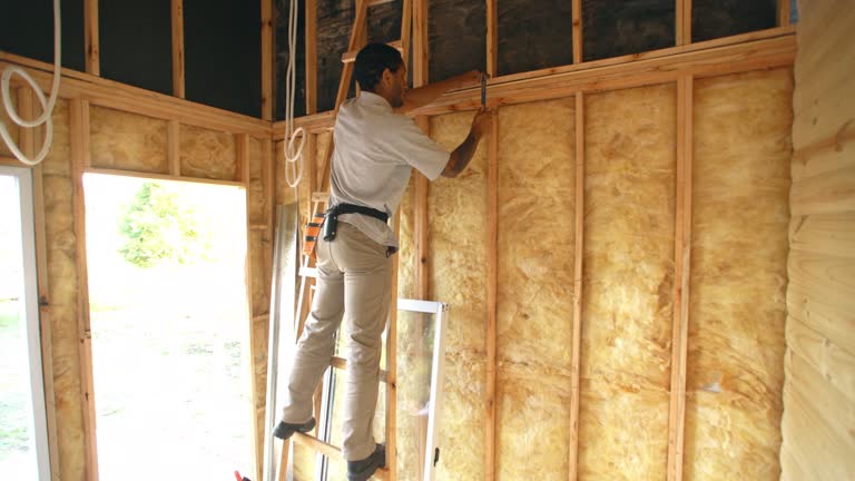 Best Insulation for New Construction  in Madisonville, TX